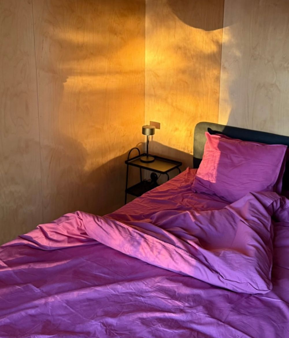 Pillow case 2 pcs Pitaya