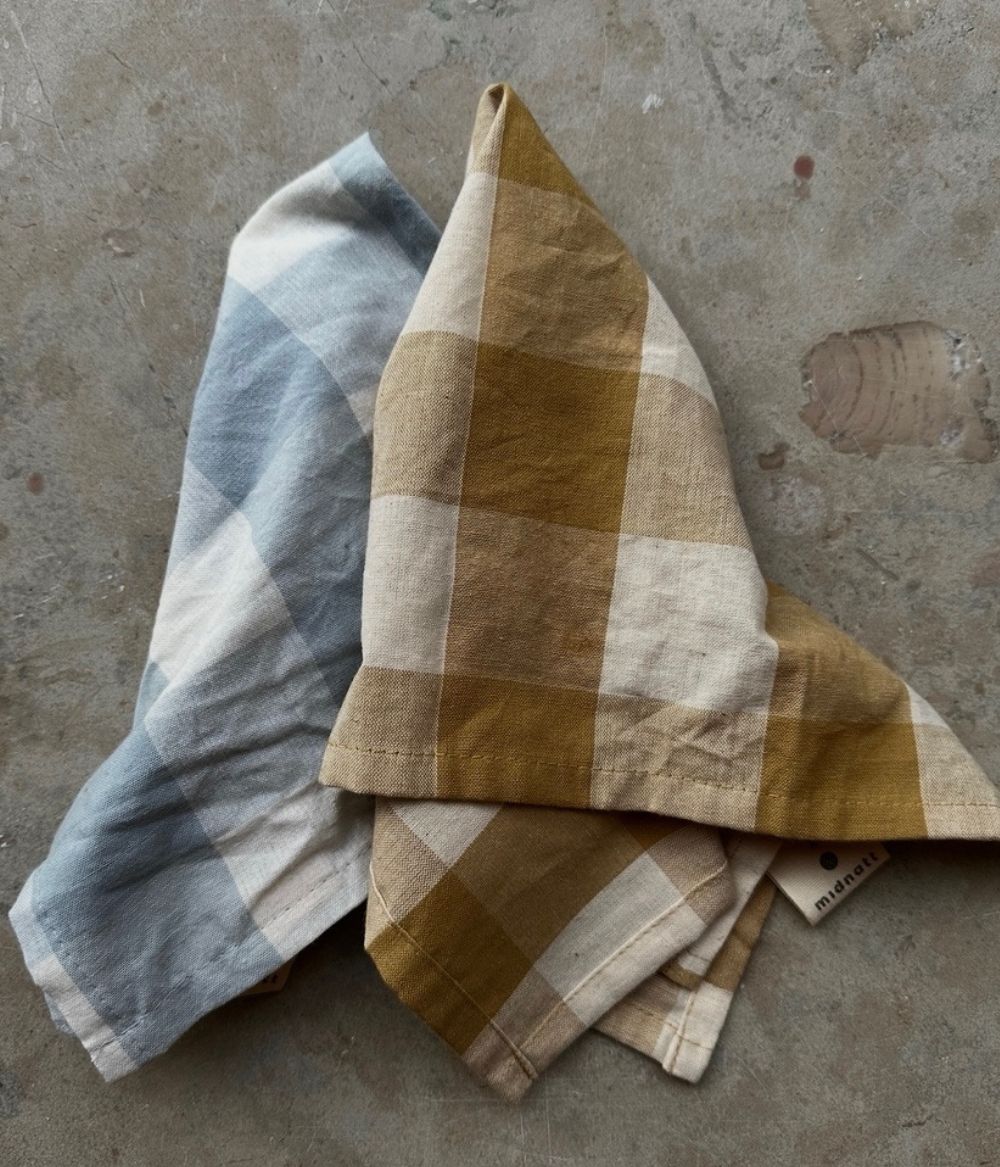 Napkin 4 pcs Bluey