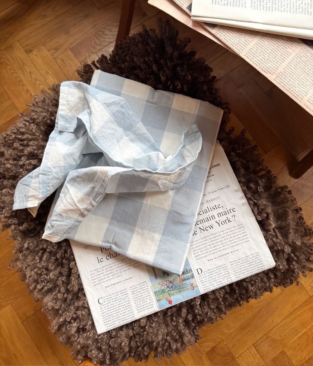 Napkin 4 pcs Bluey