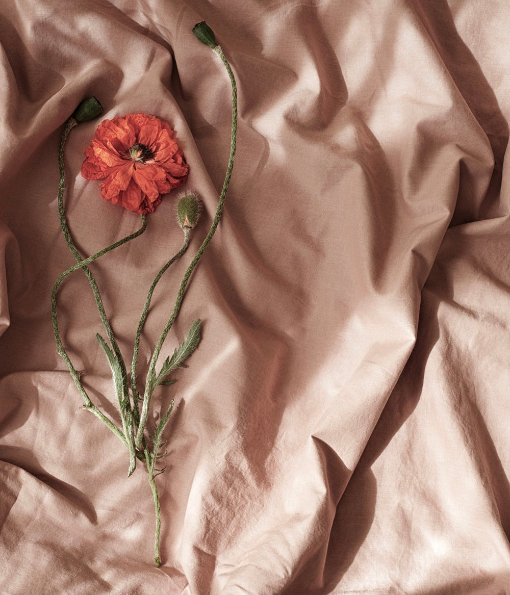 Crib & Cot Wilted